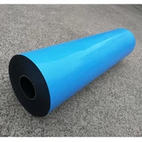 PVC vahtplaat